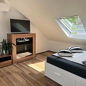 Studio Apartment Koblenz